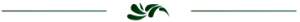 PREMIUM_d1-e1578435491114-370x27-2